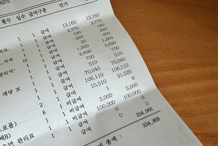 진료비 세부 명세서에 급여, 비급여가 구분되어 적혀 있다.