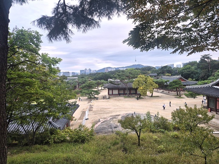 자연 속에서 운치를 더하는 창경궁.