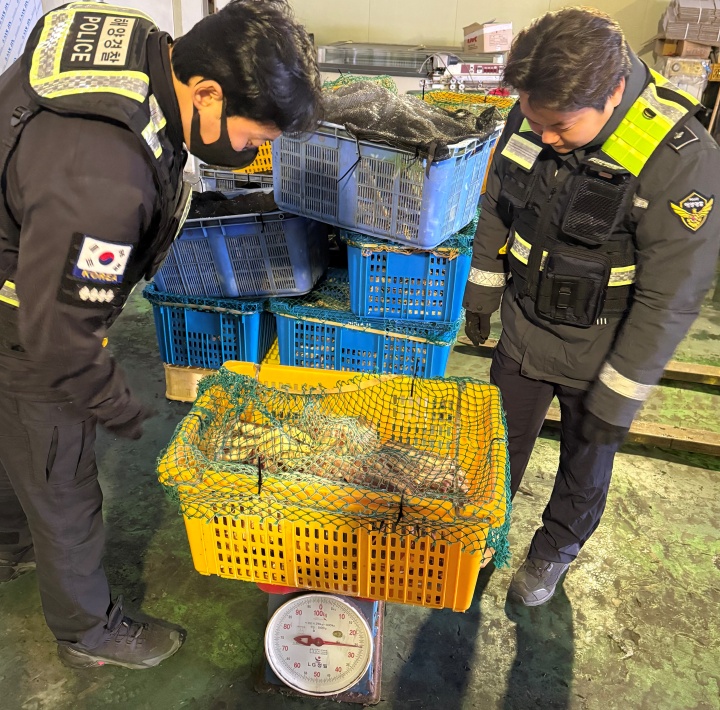 엑스레이를 활용한 농축산물검역 현장(농림축산식품부 제공)