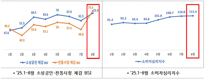 상반기 BSI 및 소비자심리지수 변이