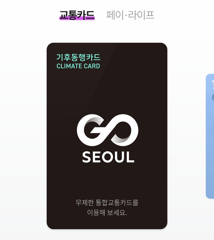 기후동행카드, 장기적으로 교통비를 줄이고 싶다면 정기권을, 특정 기간이나 여행처럼 단기에 이동량이 많을 때는 나처럼 일일권이 합리적이다.