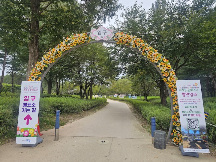 자라섬.