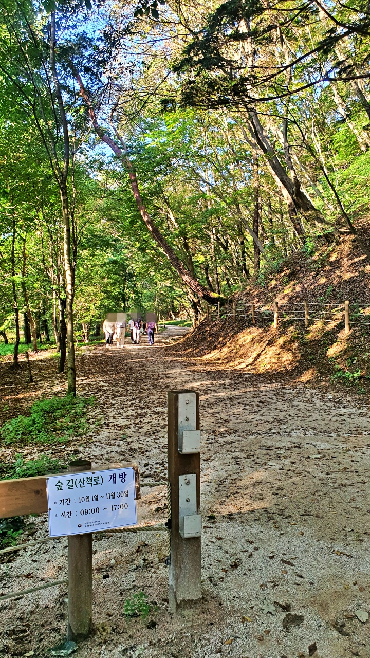 10월부터 11월 말까지 한시 개방된 조선왕릉 숲길 구간.
