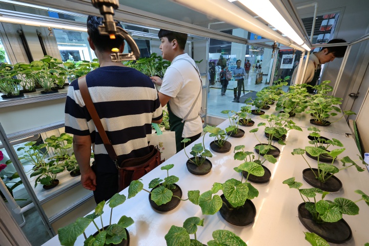 서울 서초구 aT센터에서 열린 '2024 대한민국 농업박람회'에서 관람객이 스마트팜 시설을 살펴보고 있다. '농업의 가치와 꿈을 보다'라는 주제로 열린 이번 박람회는 농업 관련 기업과 단체들 참가해 8일까지 나흘 동안 이어진다. 2024.9.5. (ⓒ뉴스1, 무단 전재-재배포 금지)