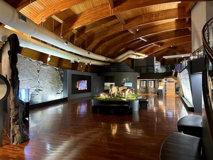 울산암각화박물관 1층 상설전시실 전경.