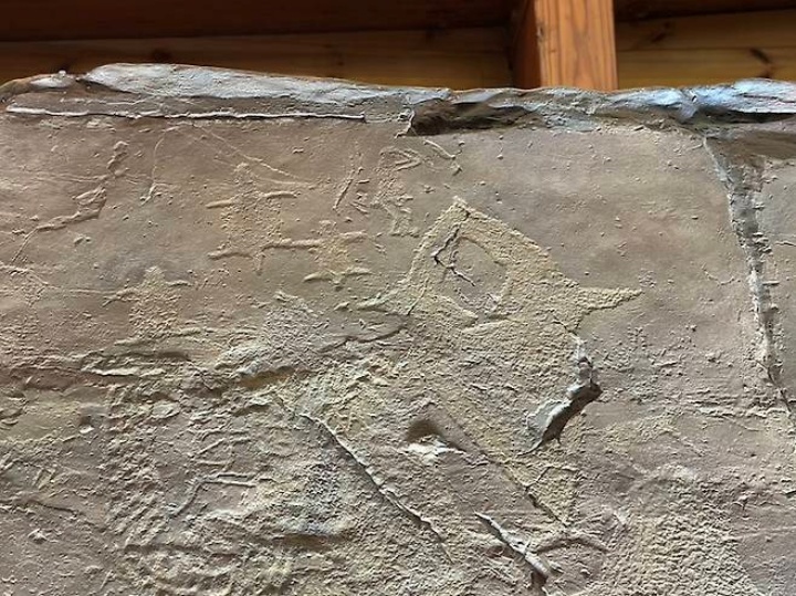 반구대 암각화에 새겨진 귀신고래.