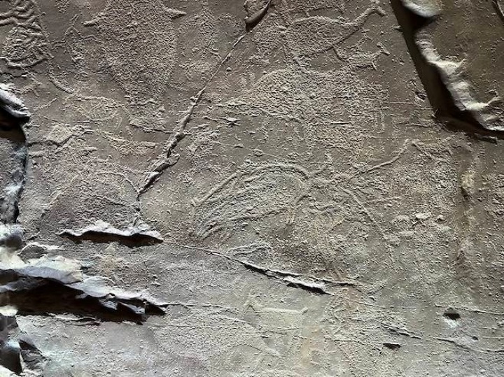 반구대 암각화에 새겨진 아기 멧돼지.