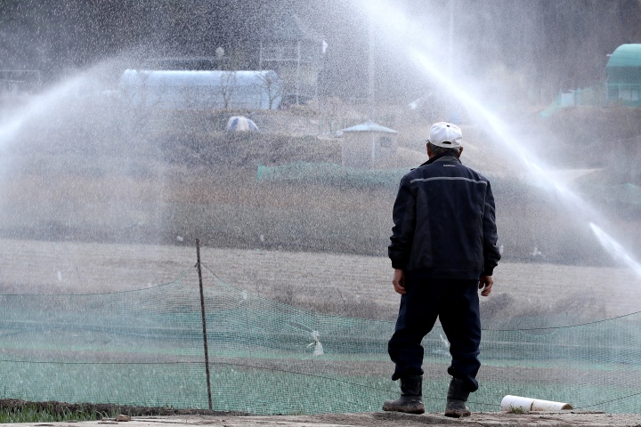경북 의성군 안평면 석탑리 한 마늘밭에서 고령의 농부가 산불로 며칠째 돌보지 못했던 밭에 스프링클러를 작동시켜 시원한 물줄기를 바라보고 있다. 2025.3.31.(ⓒ뉴스1, 무단 전재-재배포 금지)