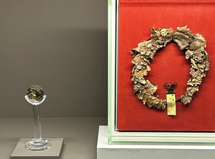 우승 당시 금메달과 월계관의 모습.