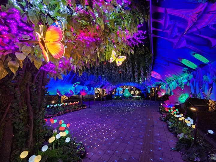 대전 오월드가 연중 운영하는 대규모 야간관광 콘텐츠, 나이트 유니버스.