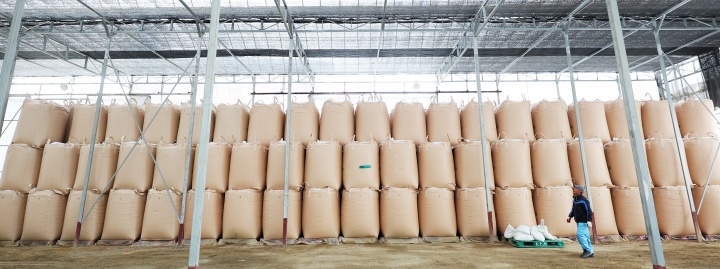 경기도 화성시 비봉면 수라청연합농협 미곡종합처리장(RPC)에서 관계자가 지난해 수매한 벼를 살펴보고 있다. 2023.3.23. (ⓒ연합뉴스, 무단 전재-재배포 금지)