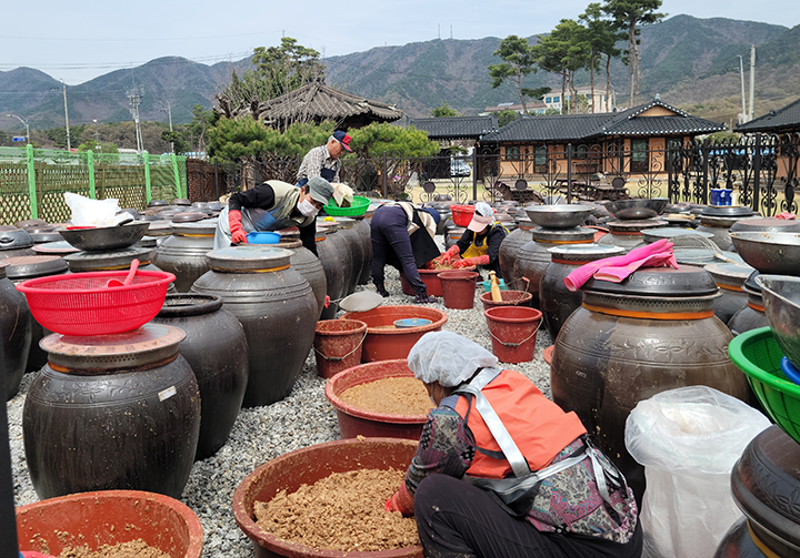 충북 증평군 농촌체험휴양마을 '장이 익어가는 마을'에서 전통 장(醬) 가르기를 하고 있다. 2025.4.14 (ⓒ뉴스1, 무단 전재-재배포 금지)