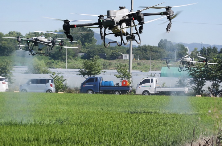 대구 달성군 화원읍 설화리 논에서 드론을 활용한 무인항공방제가 진행되고 있다. 2025.7.28. (ⓒ뉴스1, 무단 전재-재배포 금지)