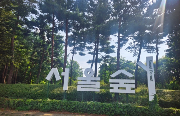 도심 속의 녹지공간, '서울숲'.