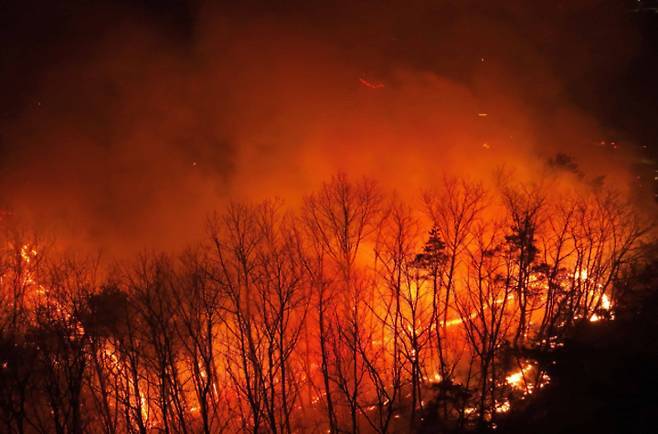 25년 3월에 발생한 경북 산불 피해 사진 (제공=서울경제)