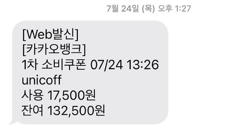 지원금 사용 시 바로 문자를 통해 받을 수 있던 사용금액/잔여금액 안내.