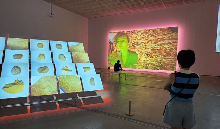 언메이크랩의 전시실은 기묘하면서도 눈길을 끄는 영상물로 가득하다. 부산의 가상 신도시를 배경으로 하여, 마구잡이식 개발이 초래하는 문제를 강렬하게 전달한다.