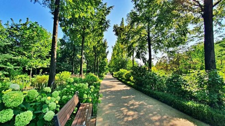 도시숲 그늘 아래,자연이 만든 천연 피서처.