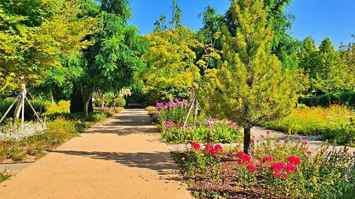 한여름 뙤약볕 속에서도 생명력 넘치는 꽃들.