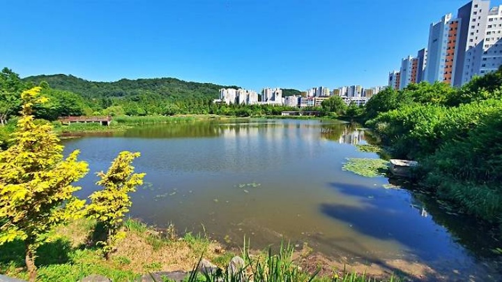 수목원 내부에 위치한 항동저수지 전경.