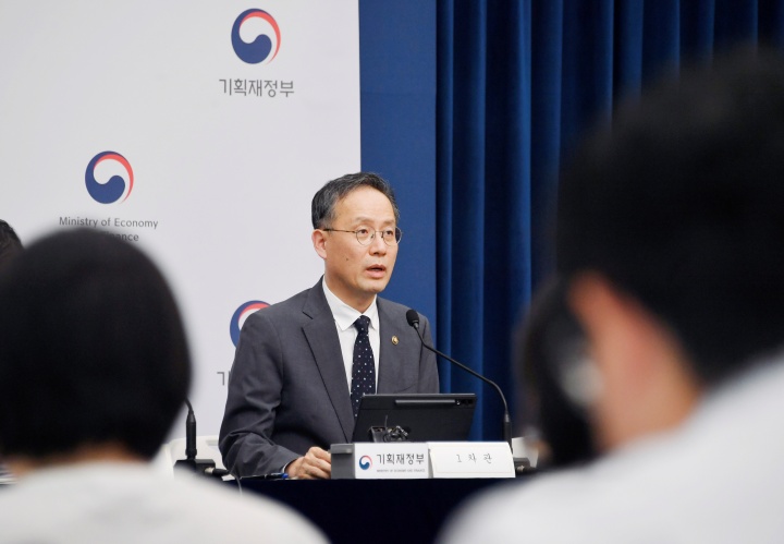 이형일 기획재정부 차관이 지난 29일 정부세종청사에서 열린 '2025년 세제개편안 상세 브리핑'에서 주요 내용을 발표하고 있다.(ⓒ뉴스1, 기획재정부 제공, 무단 전재-재배포 금지)