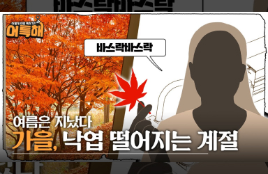 가을 낙엽에도 특허가 있다고?!