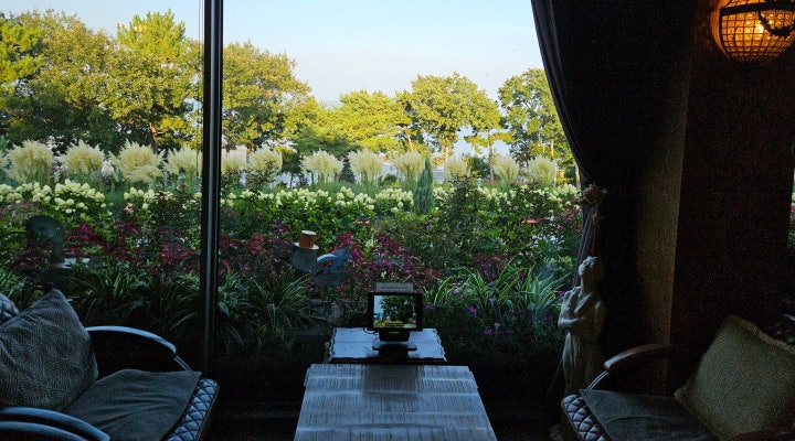 식물원 속 작은 거실에 앉아 있는 듯한 나문재 카페의 창가.