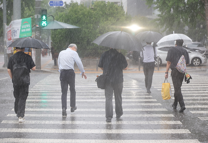 서울 영등포구 여의도 국회 인근에서 시민들이 우산을 쓰고 이동하고 있다. 2025.7.8(사진=저작권자(c) 연합뉴스, 무단 전재-재배포 금지)