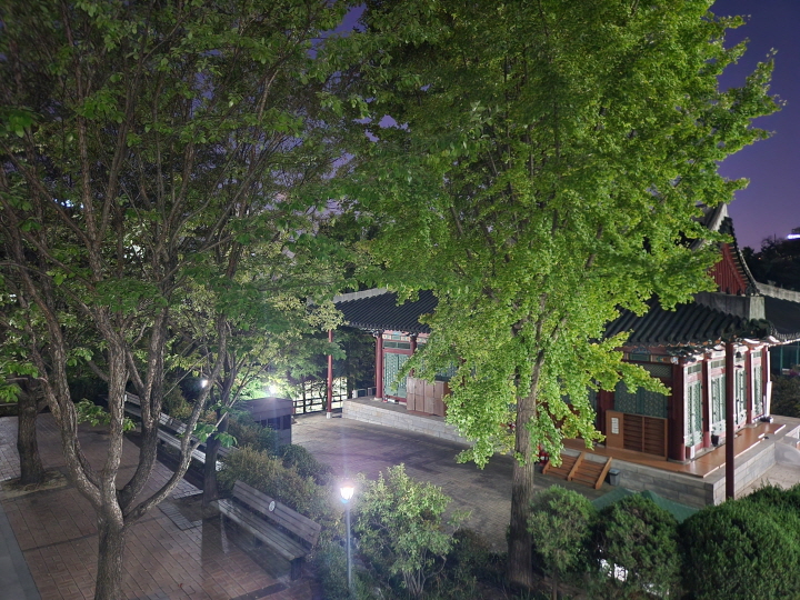 인문주간에 대학교 캠퍼스를 둘러보는 즐거움도 있다. 동국대학교 캠퍼스 내 경희궁 정전이었던 숭정전이 남아 있었다.