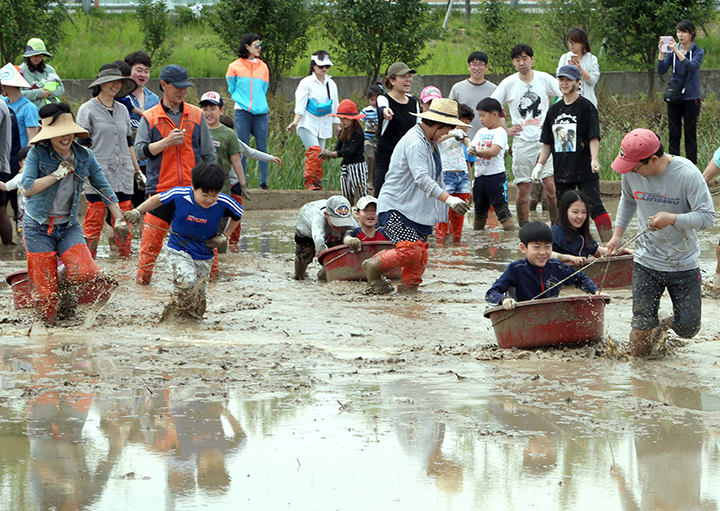 부산 강서구 대흥마을 들판에서 부산시 농업기술센터가 마련한 농촌그린투어체험 행사에서 가족단위 나들이객들이 논썰매를 체험하고 있다. (사진=저작권자(c) 연합뉴스, 무단 전재-재배포 금지)