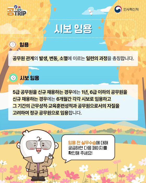 공무원 공직사회로 입문하는 새로운 여정 시보 임용