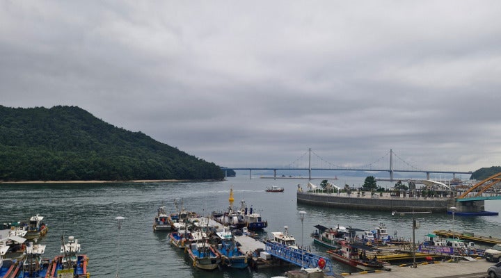 어선들이 출항한 포구는 평화롭기만 하다.