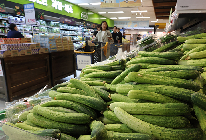 서울 한 대형마트에서 판매 중인 오이. 2025.5.23 (ⓒ뉴스1, 무단 전재-재배포 금지)