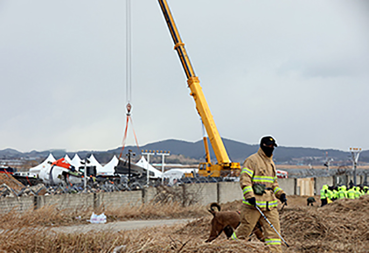 12·29여객기참사현장에서 담당자들이 잔해를 정리하고 있다. (ⓒ뉴스1, 무단 전재-재배포 금지)