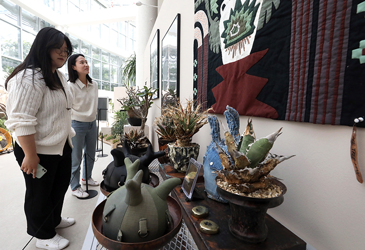 세종시 국립세종수목원에서 진행중인 반려식물 기획전시 '넌 어느 별에서 왔니?'를 찾은 시민들이 독특한 모양의 괴근식물들을 관람하고 있다. 2024.4.18 (ⓒ뉴스1, 무단 전재-재배포 금지)