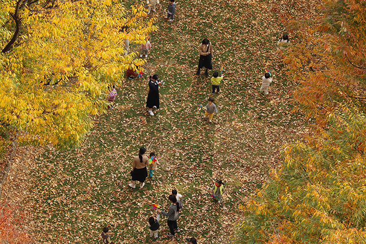 가을이 무르익고 있는 가운데 서울 종로구 정부서울청사 잔디마당에서 시민들이 즐거운 시간을 보내고 있다. (사진은 기사 내용과 직접적 관련 없음) 2024.11.3 (ⓒ뉴스1, 무단 전재-재배포 금지)