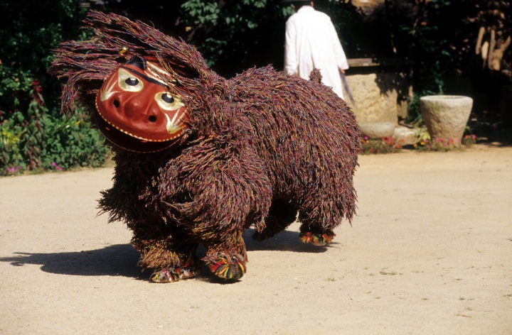 국가무형유산 북청사자놀음(출처=국가유산청 국가유산포털)