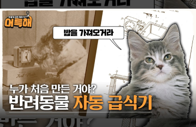 반려동물 자동 급식기, 1939년 발명?! 펫 특허의 역사