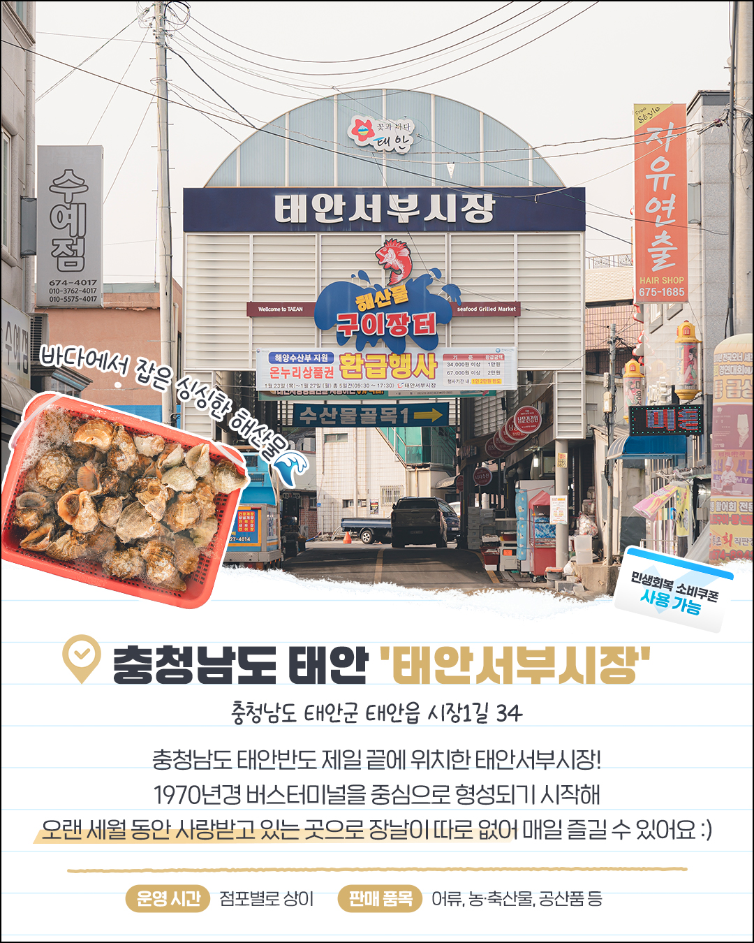 쿠폰의 행복🎫 국내 여름 여행지 추천 #1. 충청도(1편) feat. 민생회복 소비쿠폰