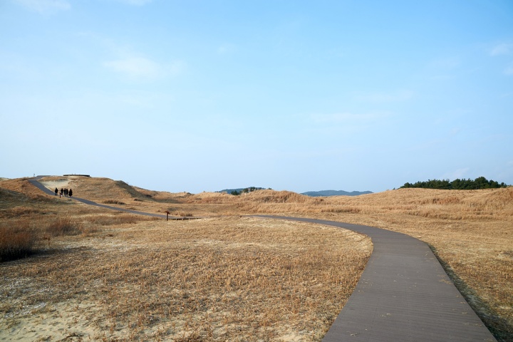 신두리 예시 이미지