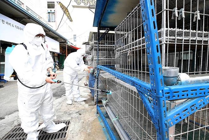 지영미 질병관리청장이 5일 코로나19 유행을 대비해 세종충남대학교병원을 방문, 대비 상황을 점검하고 있다. 2025.6.5 (ⓒ뉴스1, 무단 전재-재배포 금지)