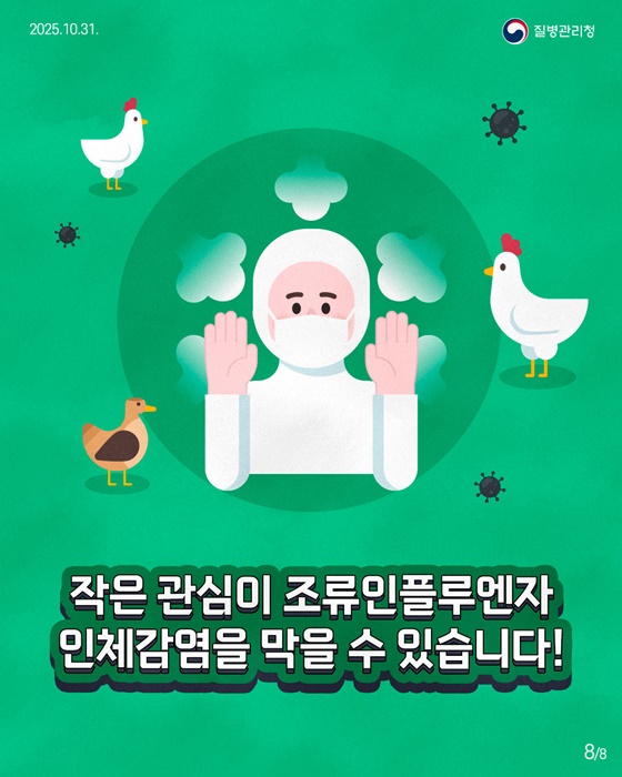 조류인플루엔자(AI) 사람도 감염될 수 있습니다!