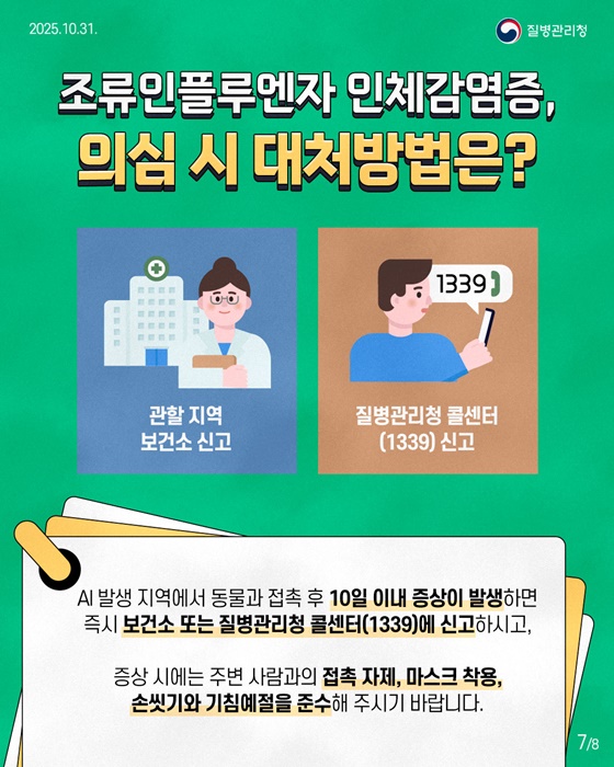 조류인플루엔자(AI) 사람도 감염될 수 있습니다!
