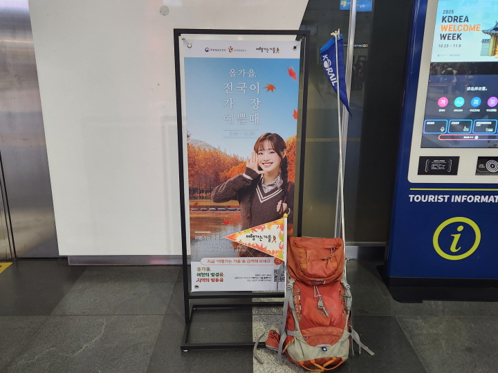 '여행가는 가을' 캠페인 덕분에 가성비 좋은 여행 프로그램을 이용해서 전국 곳곳으로 여행을 떠날 수 있다.