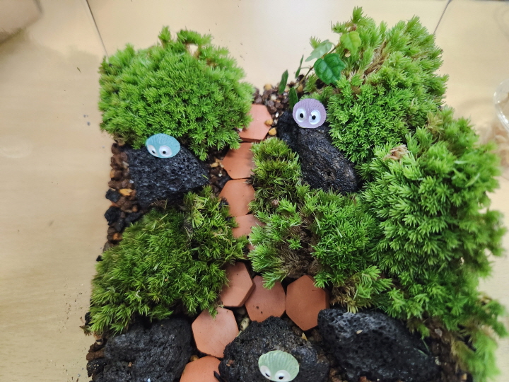 필자가 완성한 나만의 테라리움. 좁은 공간에 두고 즐길 수 있어서 집으로 가져왔다.