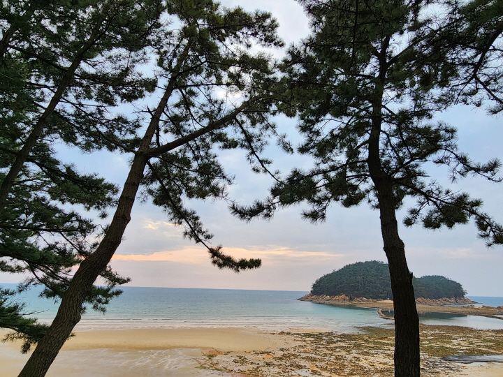 천리포 수목원에서 바라본 서해안 풍경. 저녁노을이 지고 있어서 더욱 아름답다.
