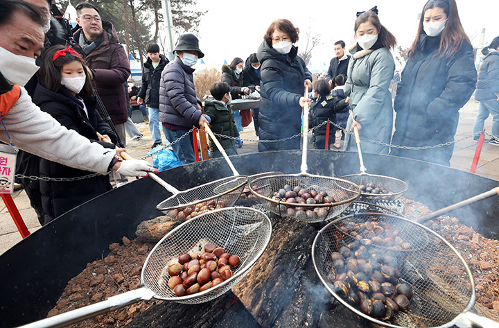 '공주 알밤특구' 아트고마센터에서 열린 '겨울공주 군밤축제'를 찾은 남녀노소 시민들이 대형화로에 알밤뜰망을 이용해 군밤을 직접 구으며 즐거운 시간을 보내고 있다. 2023.1.6 (ⓒ뉴스1, 무단 전재-재배포 금지)
