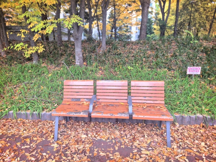 보행자의 휴식 공간, 의자.