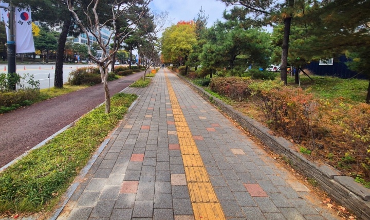 무장애 보행 환경 조성, 점자블록(유도블록).