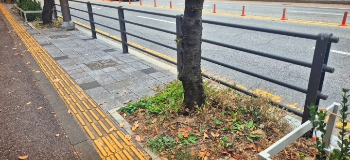 안전한 보행 환경 만드는 보행자 방호울타리 설치.